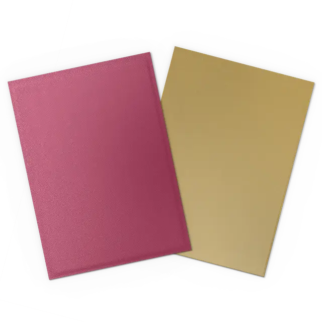 Dragon Shield Pack 100 Sleeves - Standard Size