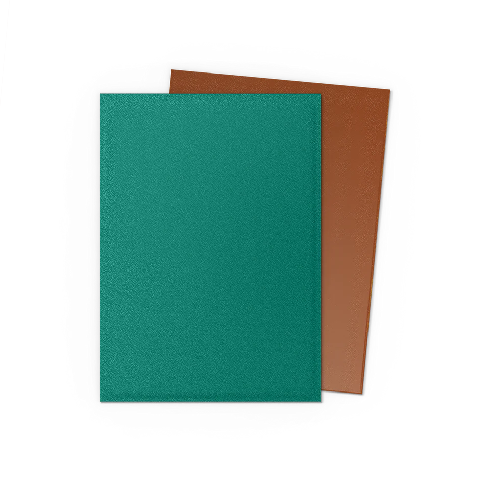 Dragon Shield Pack 100 Sleeves - Standard Size