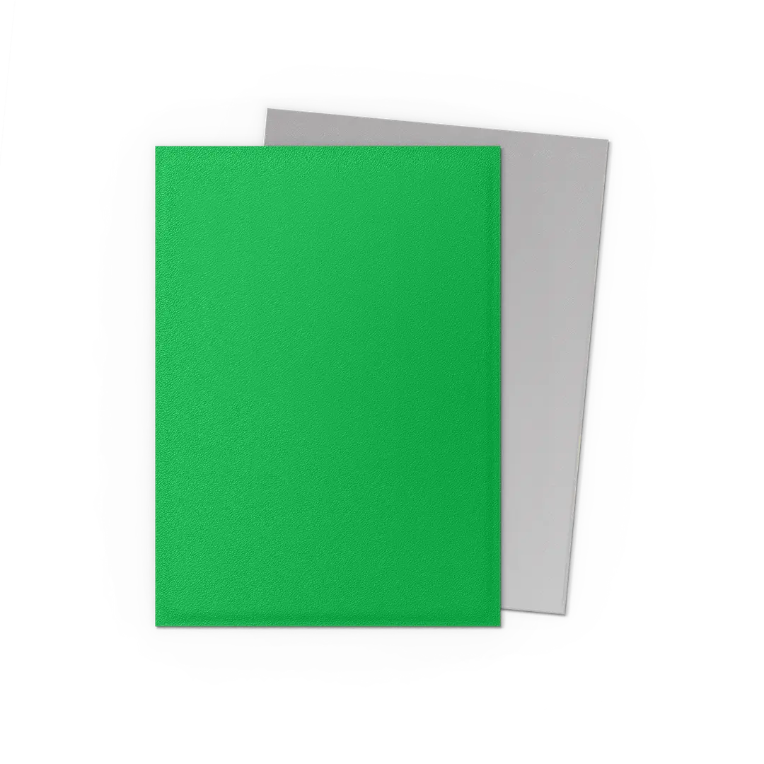 Dragon Shield Pack 100 Sleeves - Standard Size