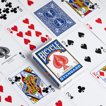 Bicycle Standard Rider Back, 2-Pack