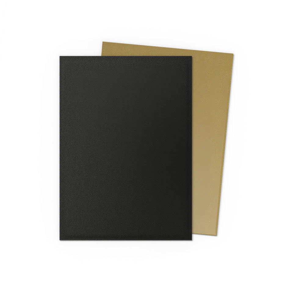 Dragon Shield Pack 100 Sleeves - Standard Size