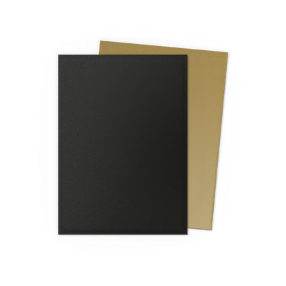 Dragon Shield Pack 100 Sleeves - Standard Size