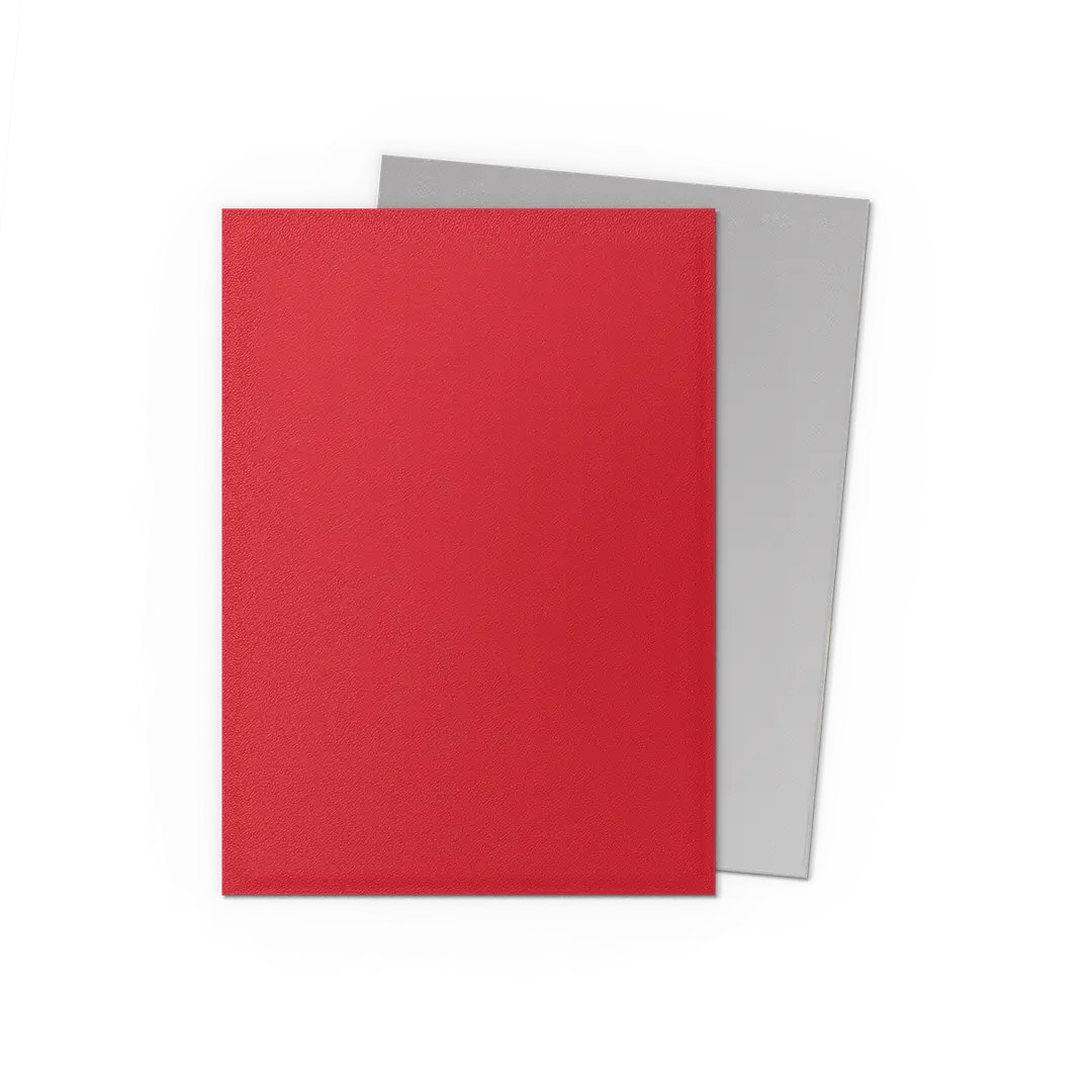 Dragon Shield Pack 100 Sleeves - Standard Size