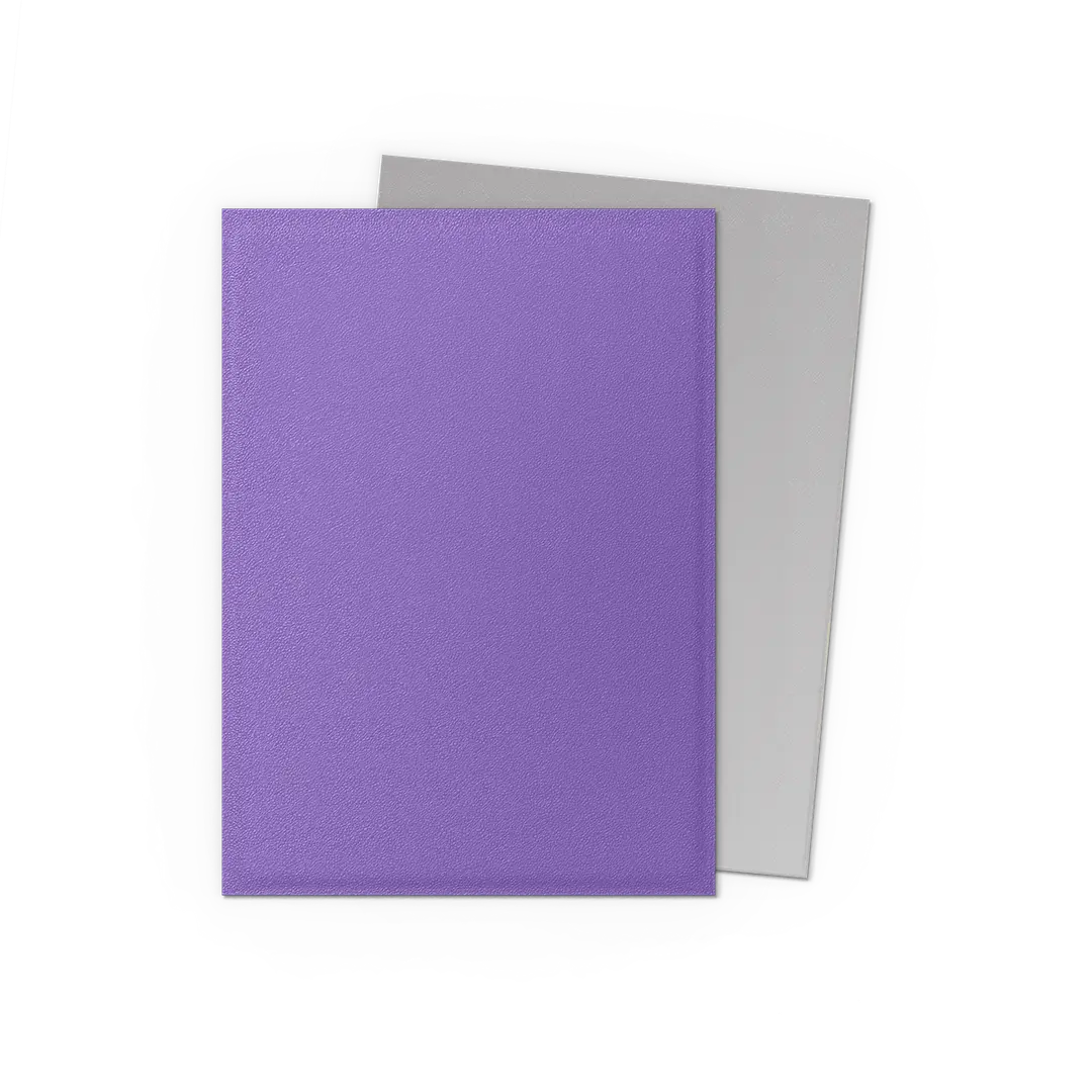 Dragon Shield Pack 100 Sleeves - Standard Size