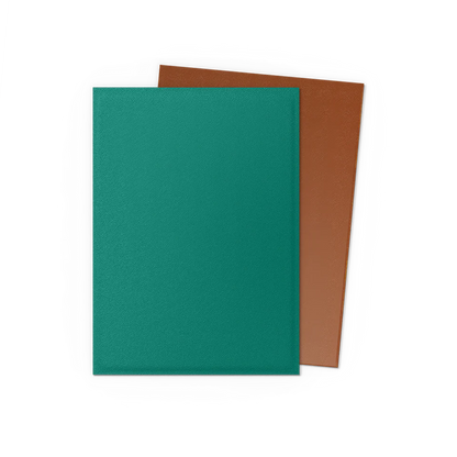 Dragon Shield Pack 100 Sleeves - Standard Size