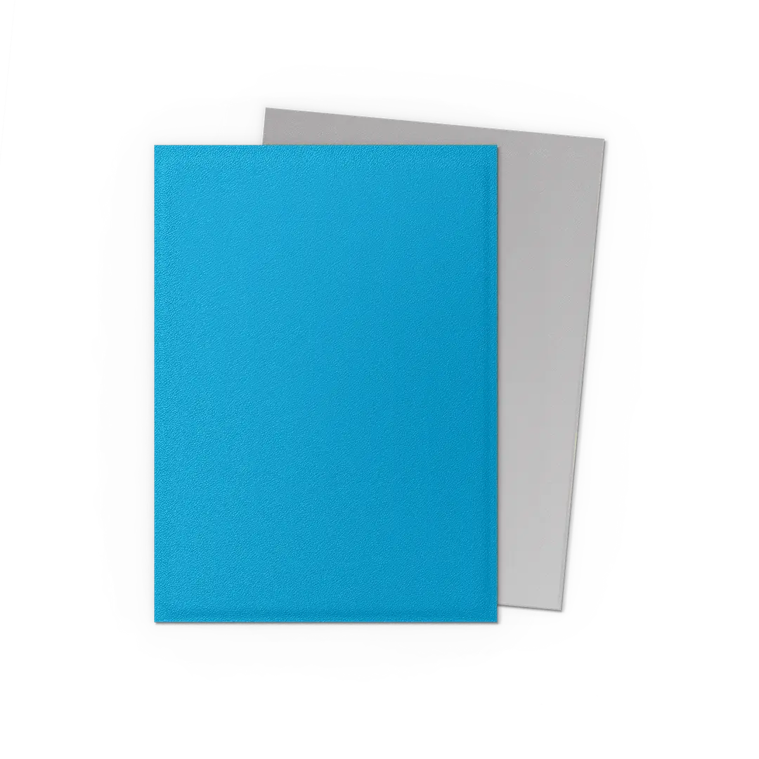 Dragon Shield Pack 100 Sleeves - Standard Size