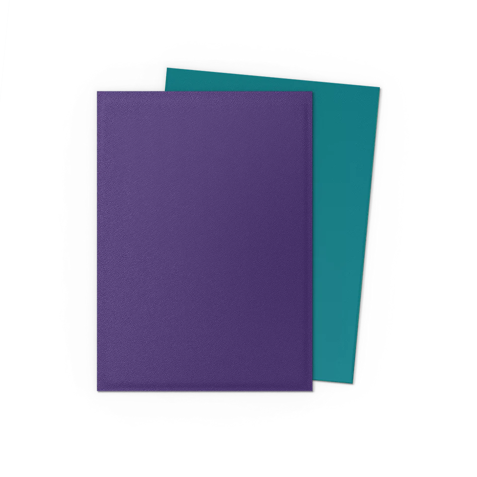 Dragon Shield Pack 100 Sleeves - Standard Size