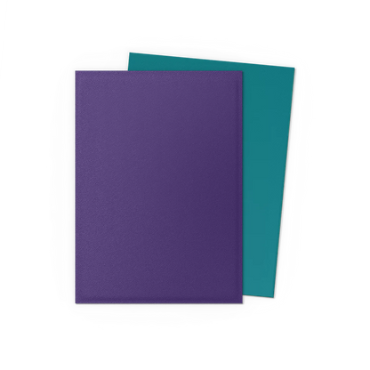Dragon Shield Pack 100 Sleeves - Standard Size